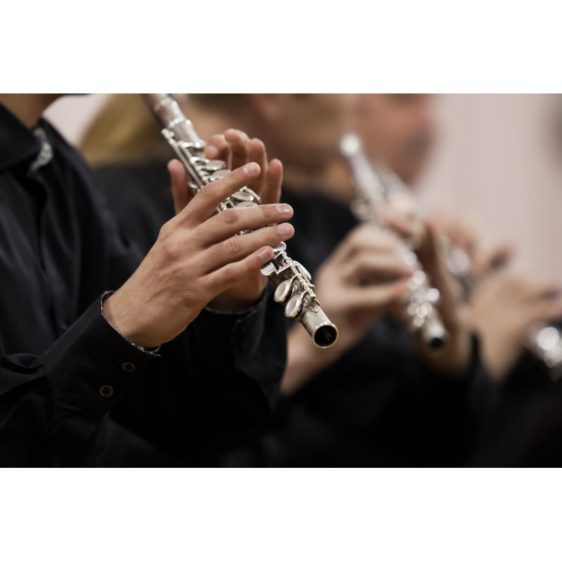 Musician Playing Flute - Wrapped Canvas Print, 51cm H x 76cm W x 3.8 cm D