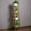 Plant Stand