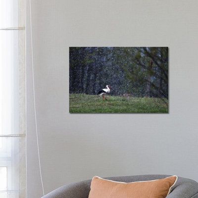 Stork In Snow by Mateusz Piesiak - Wrapped Canvas Print