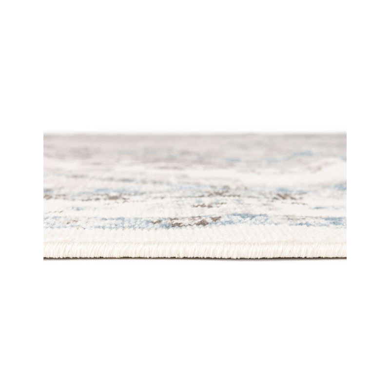 Oriental Area Rug, Runner 94cm x 500.4cm