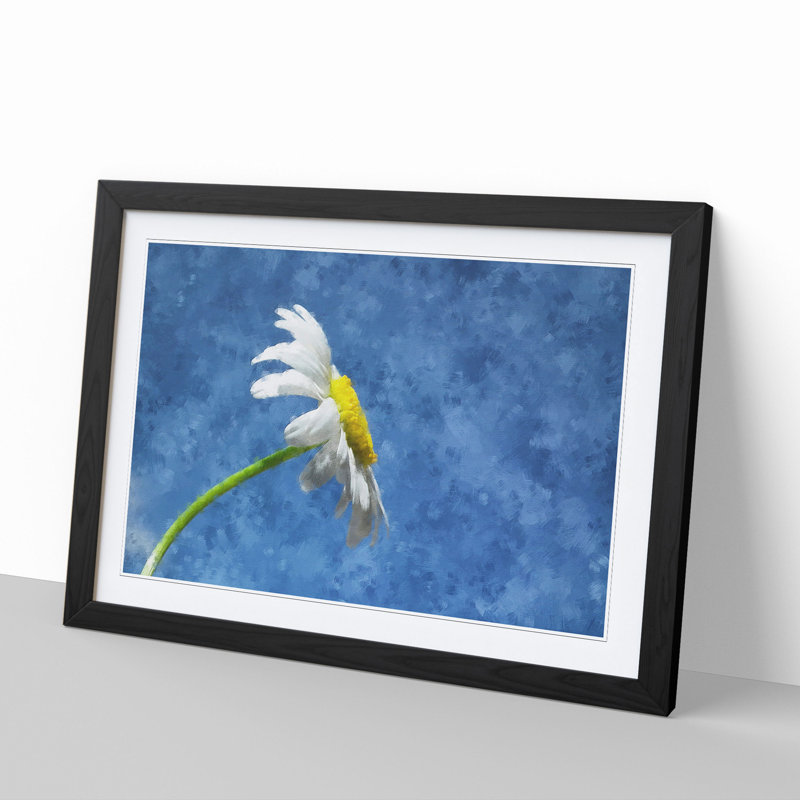 White Daisy Flower Painting - Picture Frame Graphic Art, Black, 27cm H x 36cm W x 2cm D