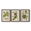 Feuilles antiques I - ensemble de 3 peintures sur toile encadrées-371832428-371832427