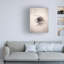 Art mural sur toile tendue - «Nest III» par Debra Van Swearingen pour décoration de salon, de chambre à coucher ou de bureau - 14 x 19-31872520