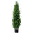 Artificial Cedar Topiary-1255344779