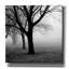 «Trees» par PhotoINC Studio-604192410
