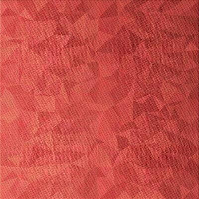 Indoor Rug