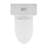 Voltaire One-Piece Elongated Toilet Dual-Flush 1.1/1.6 gpf-44636279-82677394