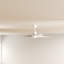 Nunn 140cm Ceiling Fan-9236049-14209443