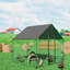 Chicken Run-56244684