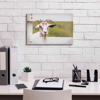 " Goat At Fence " by Lori Deiter