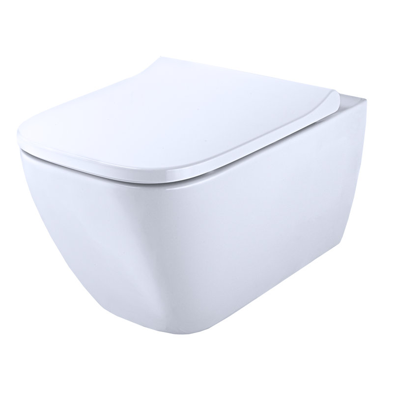 Wall Hung Toilet with Soft Close Seat