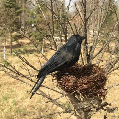 Halloween Black Crow Prop Fake Bird Raven Feathered Spooky Party Home Decor-style A