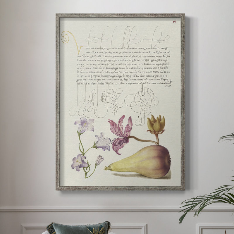 Reproduction encadrée de Hoefnagel, spéculations tropicales - bois massif, H 21 po x l 17 po