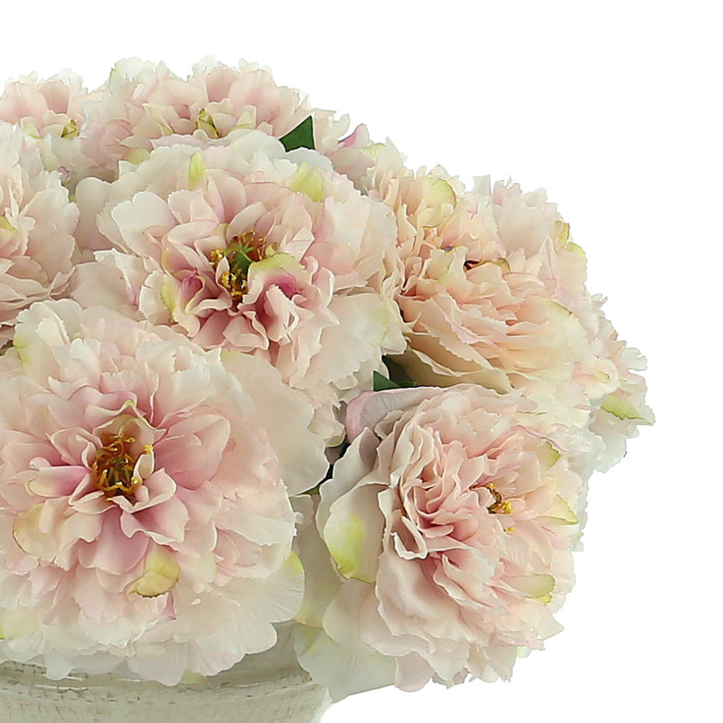 Peonies In Cream Vase