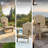 Demitrios Outdoor Adirondack Chair