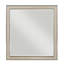 Miroir Nikhil