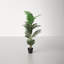 Faux Palm Tree in Pot-261391351