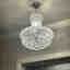 Customer photo 3 of 3