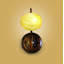 Kovach Armed Sconce