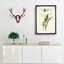 Magnolia Flowers Illustration Tab. 64 by Frederick Sander - Picture Frame Painting Print-55760307-55760310