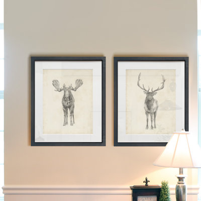 " Moose Study " 2 - Pieces