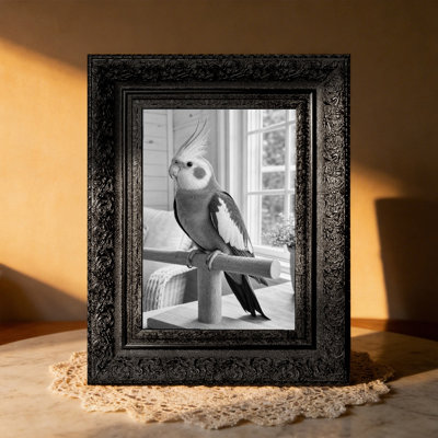 Black 3 PCS Modern Classic Picture Frame for 8" x 10" Photos and Birthday Gifts