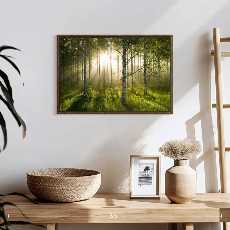Birch Forest Sunlight, 19 po x 13 po, Cadre flottant noyer