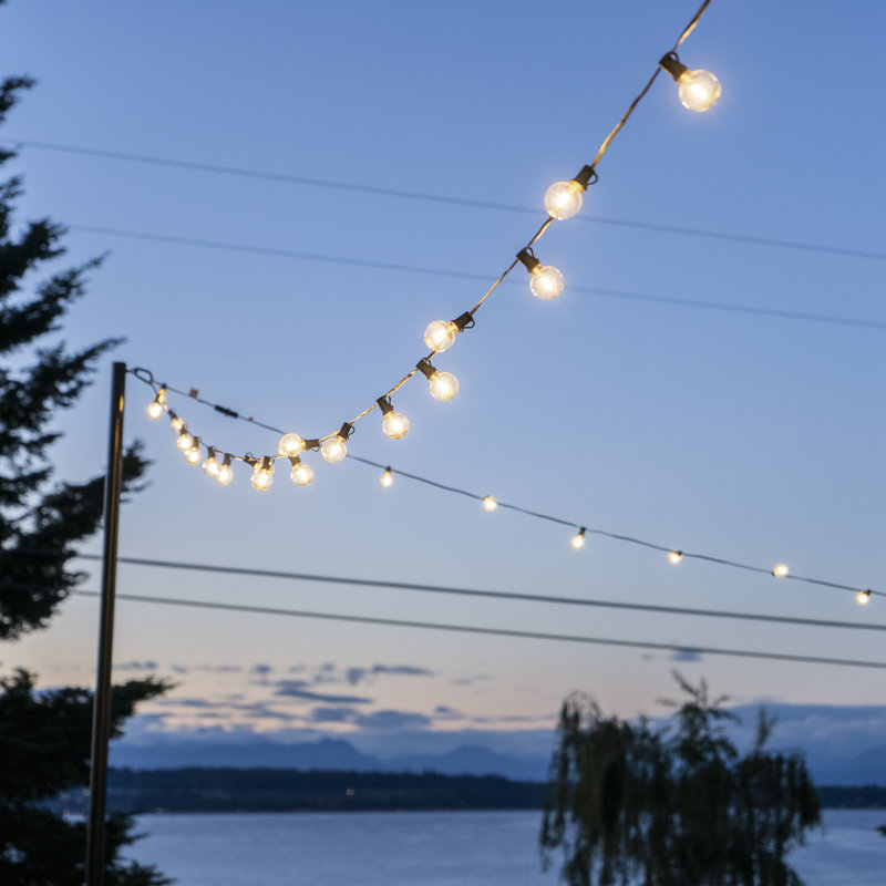 Burson Indoor / Outdoor 25 - Bulb 300 in. Plug-in LED Globe String Light, Black