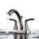 Centerset 2-handle Bathroom Faucet with Drain Assembly