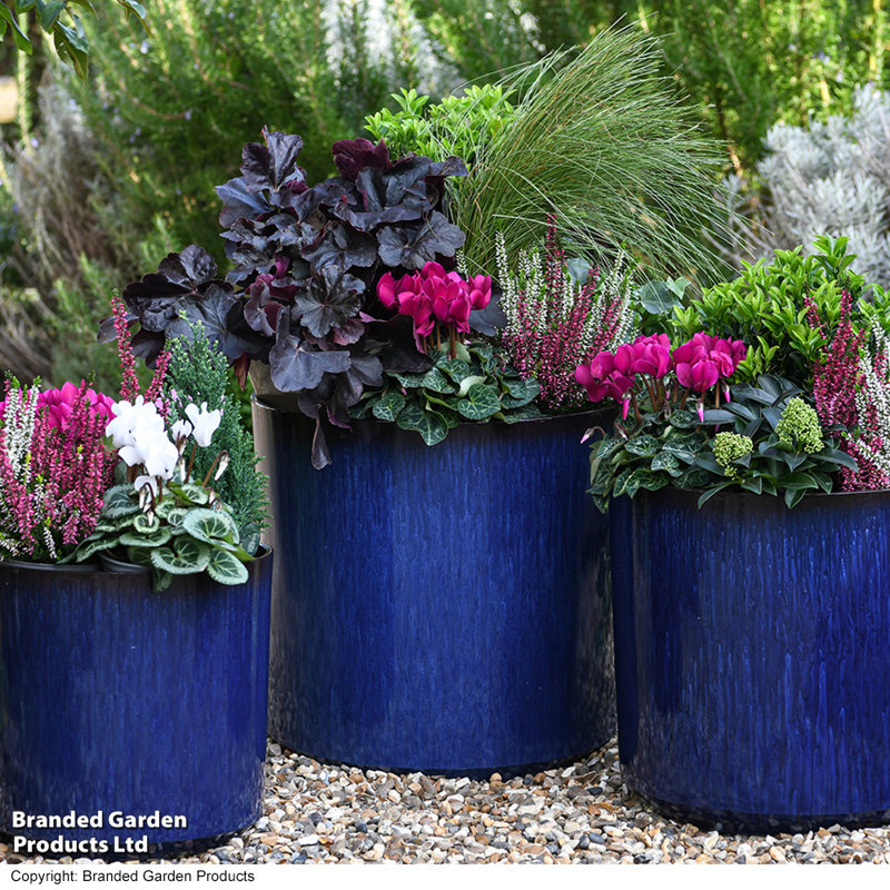 Pot Planter