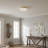 1 PACK LED Flush Mount Ceiling Light Fixture, Modern Kitchen Recessed Ceiling Lamp 24W 12 Inch Closet Round Surface for Bathroom Laundry Bedroom Hallway(Gold)-1231913945