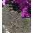 Silver/Purple
