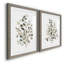 «Neutral Eucalyptus I», reproduction de cadre photo sur toile 2 pièces-661089274-661089221