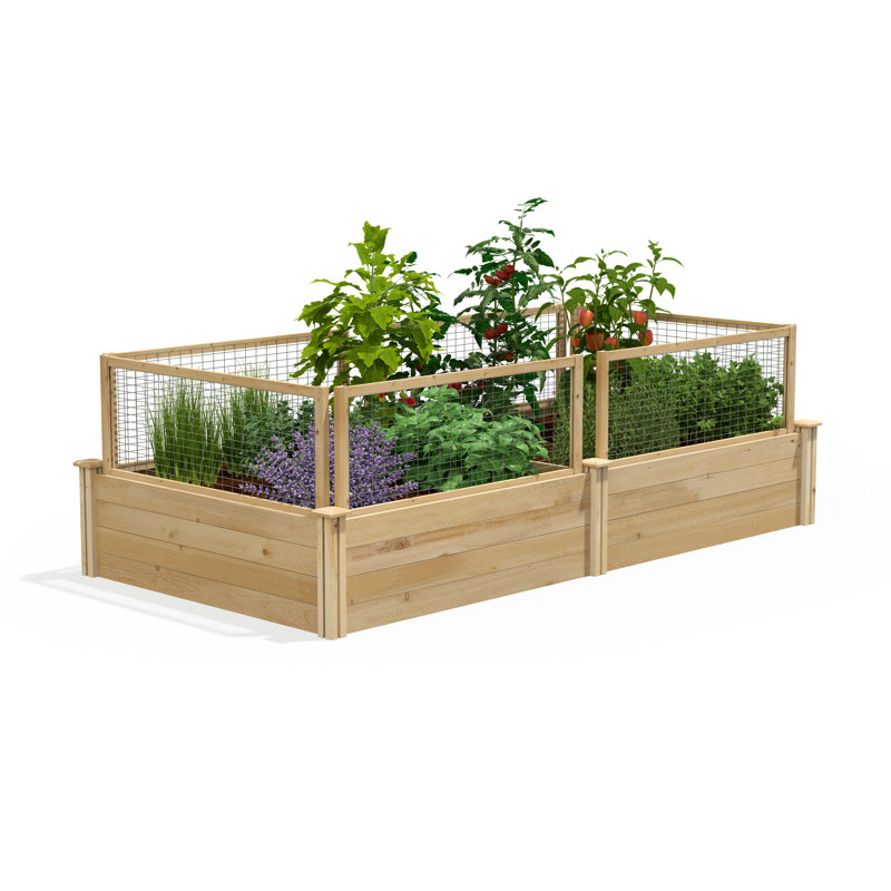 4 pi X 8 pi Lit de jardin surélevé en cèdre Original avec système de clôture Critterguard, H 14 po x l 96 po x P 48 po