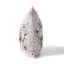 Coussin Magnolia Majesty-95280998-95280992