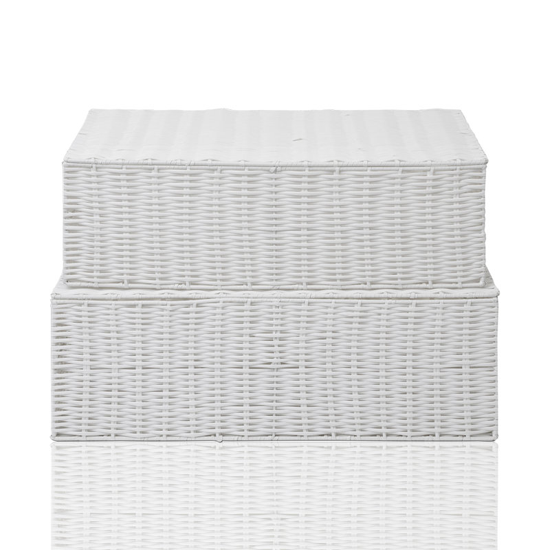 Rebrilliant Plastic Decorative Bin