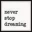 Never Stop Dreaming XI - Single Picture Frame Print-1357918199