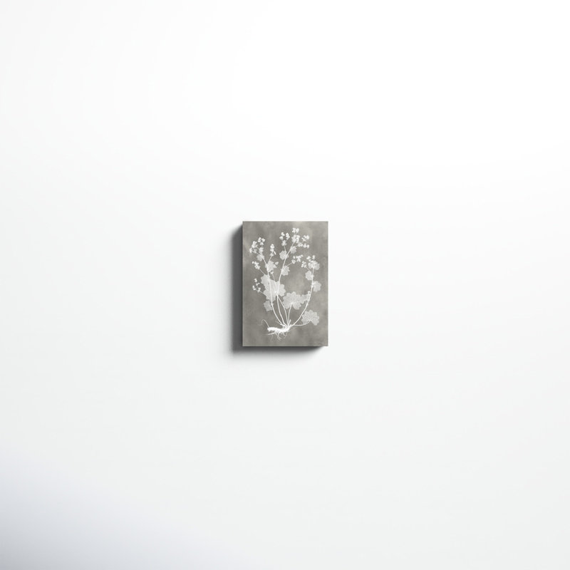 Herbarium Study I, peinture sur toile, H 12 po x l 8 po