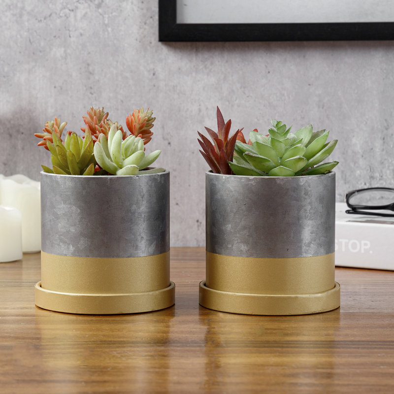 Pot Planter