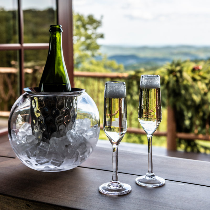 Bristol Champagne Flute - Set of 2