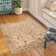 Randolph Viscose Indoor Rug