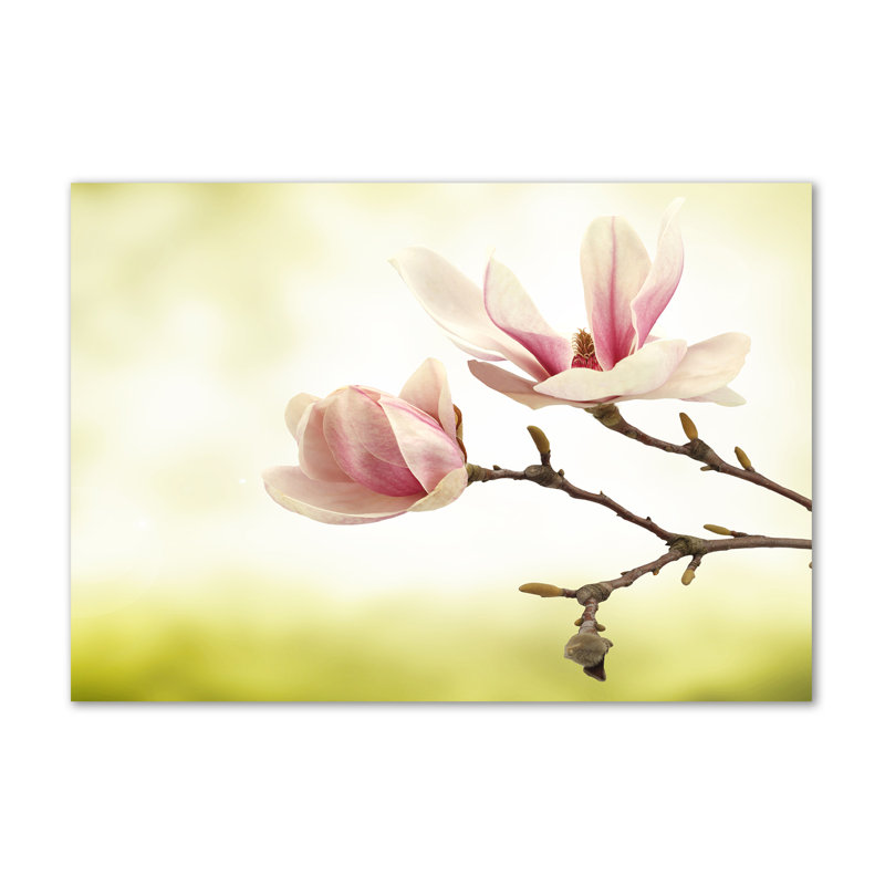 Magnolia - Wrapped Canvas Print