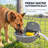 40oz. Pet Fountain