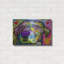 «Elation» par Dean Russo-391805746