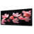 Toile avec cadre flottant noir