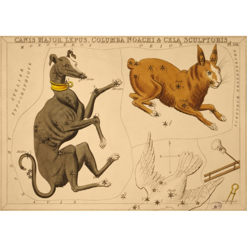 Canis Major Print by Grand Archives, 32" H x 45" W, Gold Framed