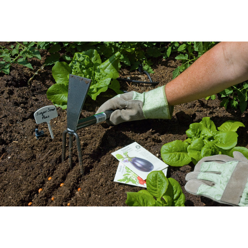 Cultivateur à main Terra