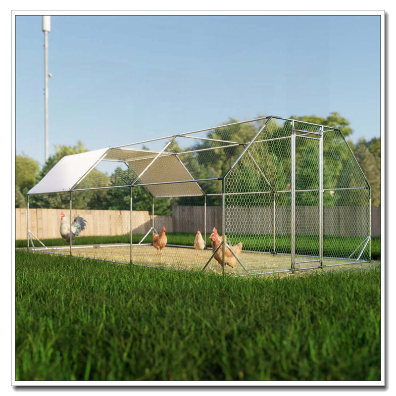 Grand poulailler en métal 10 pi x 20 pi, H 76,32 po x l 119,28 po x P 230,64 po