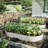 Galvanized Planter Raised Garden Beds-795735234-795735235