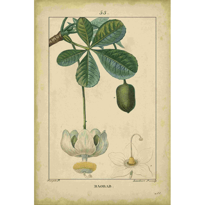 Vintage Turpin Botanical II, H 18 po x l 12 po